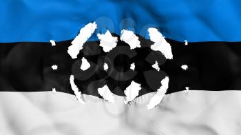 Estonia flag with a small holes, white background, 3d rendering
