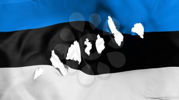Estonia flag perforated, bullet holes, white background, 3d rendering