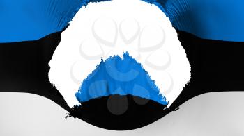 Big hole in Estonia flag, white background, 3d rendering