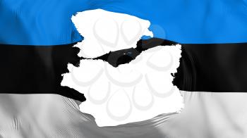 Tattered Estonia flag, white background, 3d rendering