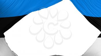 Divided Estonia flag, white background, 3d rendering
