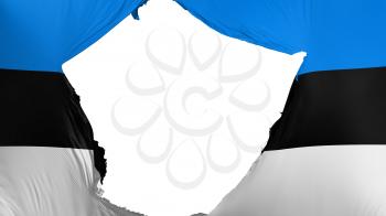 Cracked Estonia flag, white background, 3d rendering