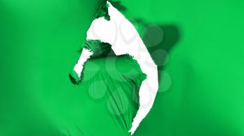 Damaged Green color flag, white background, 3d rendering