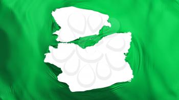 Tattered Green color flag, white background, 3d rendering