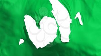 Ragged Green color flag, white background, 3d rendering