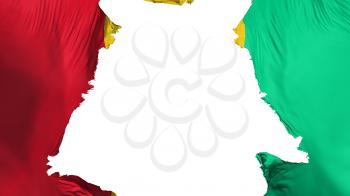 Guinea flag ripped apart, white background, 3d rendering