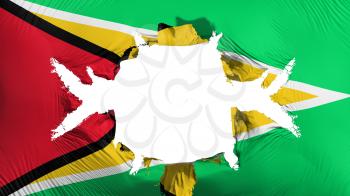 Guyana flag with a big hole, white background, 3d rendering
