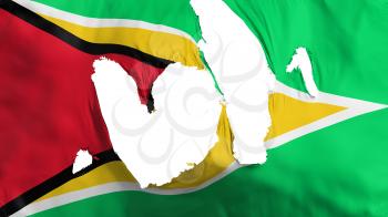 Ragged Guyana flag, white background, 3d rendering