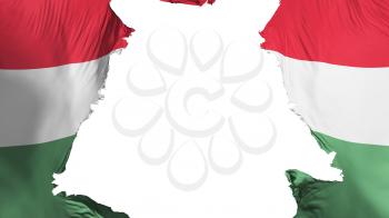 Hungary flag ripped apart, white background, 3d rendering