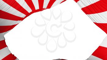 Divided Japan rising sun war flag, white background, 3d rendering