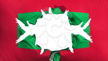 Maldives flag with a big hole, white background, 3d rendering