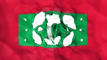 Holes in Maldives flag, white background, 3d rendering