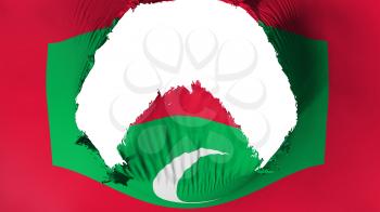 Big hole in Maldives flag, white background, 3d rendering