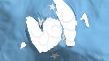 Ragged Micronesia flag, white background, 3d rendering
