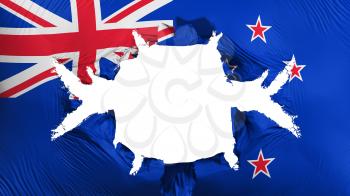 New Zealand flag with a big hole, white background, 3d rendering