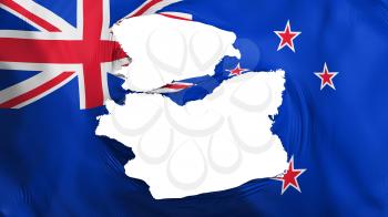 Tattered New Zealand flag, white background, 3d rendering