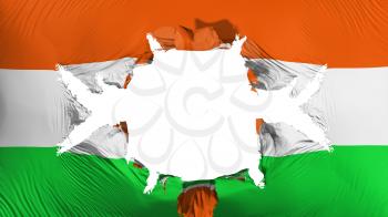 Niger flag with a big hole, white background, 3d rendering