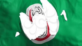 Ragged Organisation of Islamic Cooperation flag, white background, 3d rendering