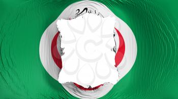 Square hole in the Organisation of Islamic Cooperation flag, white background, 3d rendering