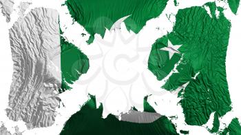 Pakistan torn flag fluttering in the wind, over white background, 3d rendering