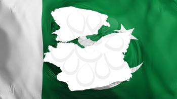 Tattered Pakistan flag, white background, 3d rendering