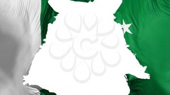 Pakistan flag ripped apart, white background, 3d rendering