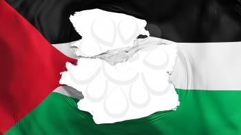 Tattered Palestine flag, white background, 3d rendering