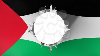 Hole cut in the flag of Palestine, white background, 3d rendering