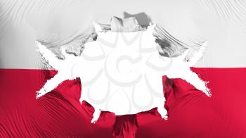 Poland flag with a big hole, white background, 3d rendering
