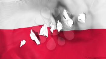 Poland flag perforated, bullet holes, white background, 3d rendering