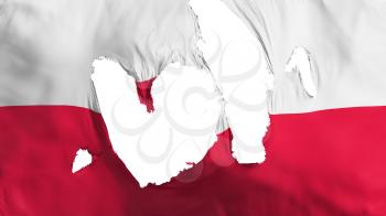 Ragged Poland flag, white background, 3d rendering