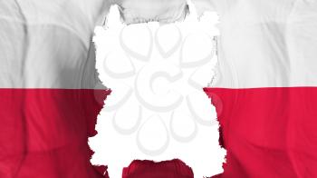 Ripped Poland flying flag, over white background, 3d rendering