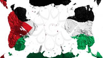 Scattered Sahrawi Arab Democratic Republic flag, white background, 3d rendering