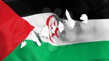 Sahrawi Arab Democratic Republic flag perforated, bullet holes, white background, 3d rendering