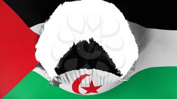 Big hole in Sahrawi Arab Democratic Republic flag, white background, 3d rendering