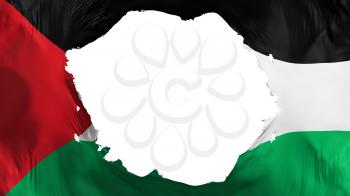 Broken Sahrawi Arab Democratic Republic flag, white background, 3d rendering