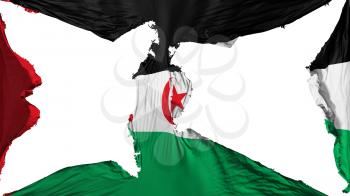 Destroyed Sahrawi Arab Democratic Republic flag, white background, 3d rendering
