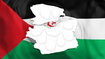 Tattered Sahrawi Arab Democratic Republic flag, white background, 3d rendering