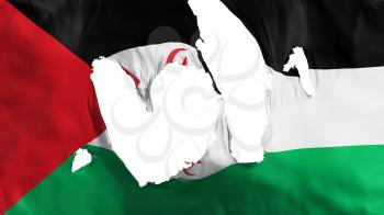 Ragged Sahrawi Arab Democratic Republic flag, white background, 3d rendering
