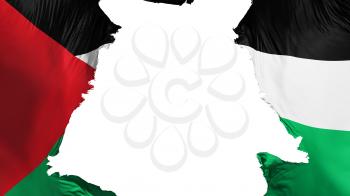 Sahrawi Arab Democratic Republic flag ripped apart, white background, 3d rendering