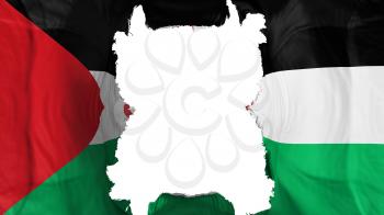 Ripped Sahrawi Arab Democratic Republic flying flag, over white background, 3d rendering