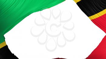 Divided Saint Kitts and Nevis flag, white background, 3d rendering