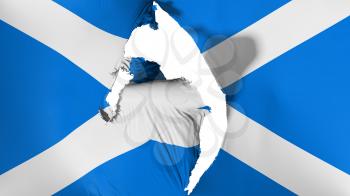 Damaged Scotland flag, white background, 3d rendering