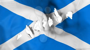 Scotland flag perforated, bullet holes, white background, 3d rendering