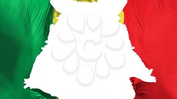 Senegal flag ripped apart, white background, 3d rendering