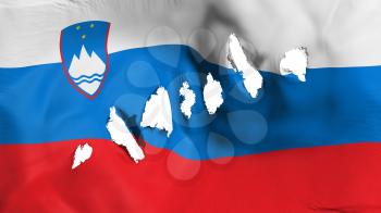 Slovenia flag perforated, bullet holes, white background, 3d rendering