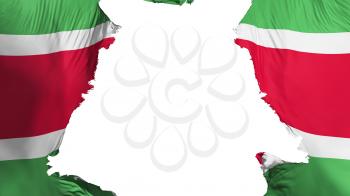 Suriname flag ripped apart, white background, 3d rendering