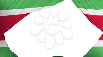 Divided Suriname flag, white background, 3d rendering