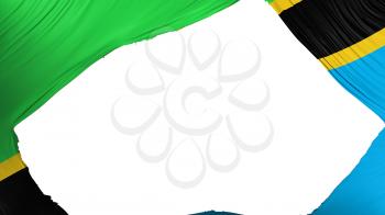 Divided Tanzania flag, white background, 3d rendering