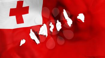 Tonga flag perforated, bullet holes, white background, 3d rendering